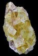 Lustrous, Yellow Cubic Fluorite Crystals - Morocco #32307-2